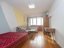 东三环 团结湖东里 高层一居 沐浴阳光 俯瞰群楼 诚售税少