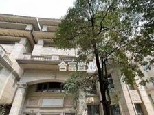 琶洲壹号全新未住别墅出售1200方可用面积