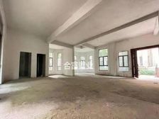 琶洲壹号 全新未住 别墅出售 前庭后院 业主急售 还价就卖