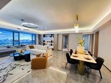 智谷,高新城市广场,兰溪学府,156平客厅朝阳大四室