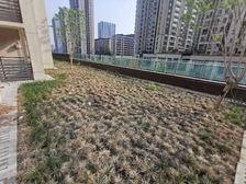 金科横厅平层 、电梯入户 、带大花园100平 、错过拍大腿