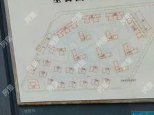 新亚洲星云园 豪华装修 3室