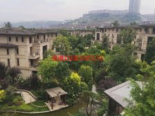 礼嘉天街旁 龙湖水景大独栋 上证890平 花园600