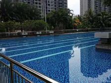 满五 海口旁 南海之滨 简装朝南一房 拎包 温泉泳池环境美