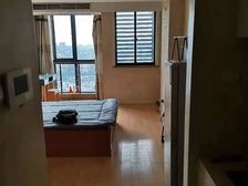 内部工抵房特惠/现房精装/洛兹品阁二期轻纺城/双口好房