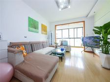 板式南北通+飞机户型+三开间朝南+电梯中高区+南北通透+诚售