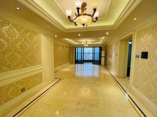 合生紫龙府 全新未住 业主急售 望江高层 双阳台入户花园