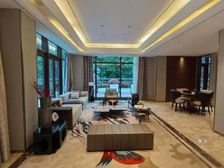 珠江别墅 大花园 带泳池 业主诚心出售 价格可议欢迎咨询