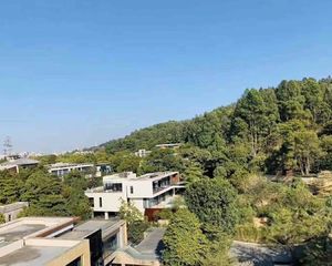 大一山庄 独栋别墅 占地2亩地花园600多方 带大泳池 车库
