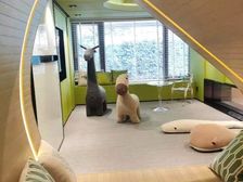 珠光云山壹号别墅 308平9居 南向精装修 方便看房