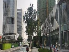 捡漏!新北区 四院 蓝光晶曜现铺!纯1层 仅剩三套!