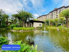 飘兰庭院(别墅),板楼,精装好房,低密宜居,南北通透