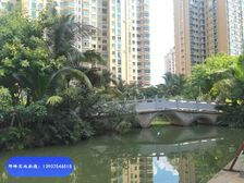 海湾雨林 次新房 环境好 带电梯 居住密度低 精装可拎包入住