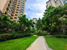 海湾雨淋 南北通透景观两房 东南亚风情 急售 有门店靠谱真实