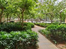 南海阳光80平2房满五高楼层 带入户花园 欧式花园小区