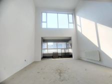 降价急售 上叠别墅 客厅挑高 车库车位 出门植物园