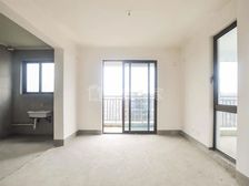 金地二期大户型 复式业主诚意出售 满五+一