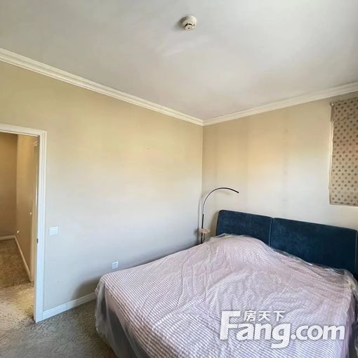 正南温哥华森林5室3厅