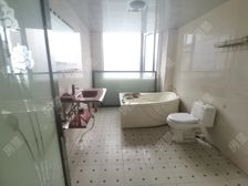 新亚洲星云园 中装修 4室