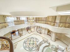 碧水庄园3期 湖边大宅 占地3000 带电梯 9米挑空南客厅