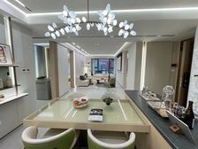 檀香府二期若丘 总高5层电梯洋房 随时看房