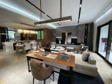 新房龙信臻园 毛坯叠墅 户户送花园 送 独立电梯找我拿优惠