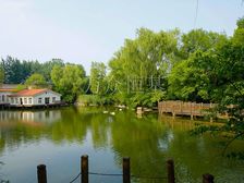 园区中心位置 组团边户 次临湖 南向绿地