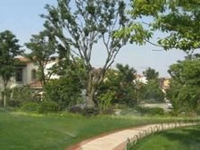 玛斯兰德 独栋别墅 1500万 精装修 户型方正 带花园