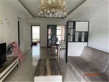 港客热盘 出租王 新华苑 36平2居 南向精装修 拎包入住