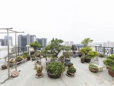 康桥丽都,实际使用200平,带2个车位,南北露台60平赠送!