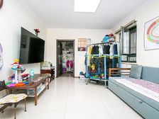 秀水园 朝阳公园1996年建 双地铁 带电梯大客厅 满五