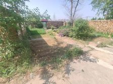 旅顺独门独院土地使用约400平方方正正带小房带院子风景秀丽