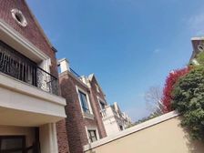 金基九月森林英伦风格别墅315平830万值得拥有