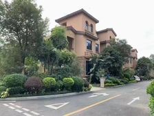 碧桂园天麓山别墅 330平6居 南北向毛坯 自住保养好
