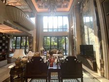 天颐华府 独栋大别墅 番禺区府旁 随时可看 笋盘 带车位