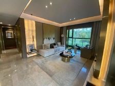 观望一次涨一次,朋友,是不是还要重复昨天的故事?