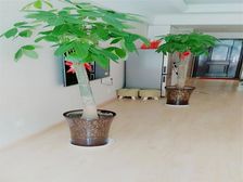 万达公寓1房南精装真实好房