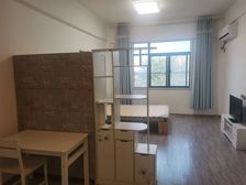 欧式田园风,豪华装修,地铁盘房!