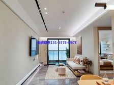 大湾区中心南沙明珠湾 楼下地铁口 首付8万先息后本 送车位