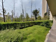 金科品质 、大花园洋房 、临涯私密性好 、上朝小 、南向采光