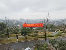 业主缺钱 渝北鸳鸯 临崖看高尔夫景观联排别墅 轻轨站 商业街