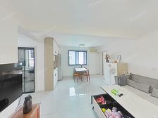 新上南北两房一厅 书包可用 电梯高区视野好 户型大 自住舒适