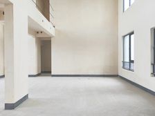 渝北区 龙湖宸峯 五房 920万