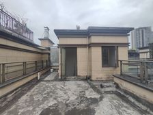 照母山 康桥融府法式上叠 带屋顶花园 下楼轻轨站