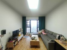 成华区 成华奥园广场二期 三房