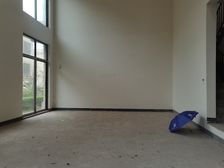 金科别墅小区 内独栋端户大花园