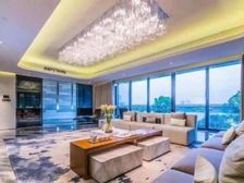 合景臻溋名铸 金融城南向望江顶豪 一线江景 比肩汇悦台