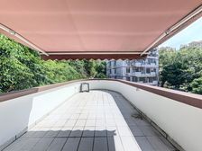圆明新园旁双拼别墅 花园300平占地600平靠山