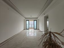 龙湖两江新宸森屿 精装大三房双卫