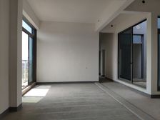 轻轨站 板式结构 龙湖揽境 四房 269万